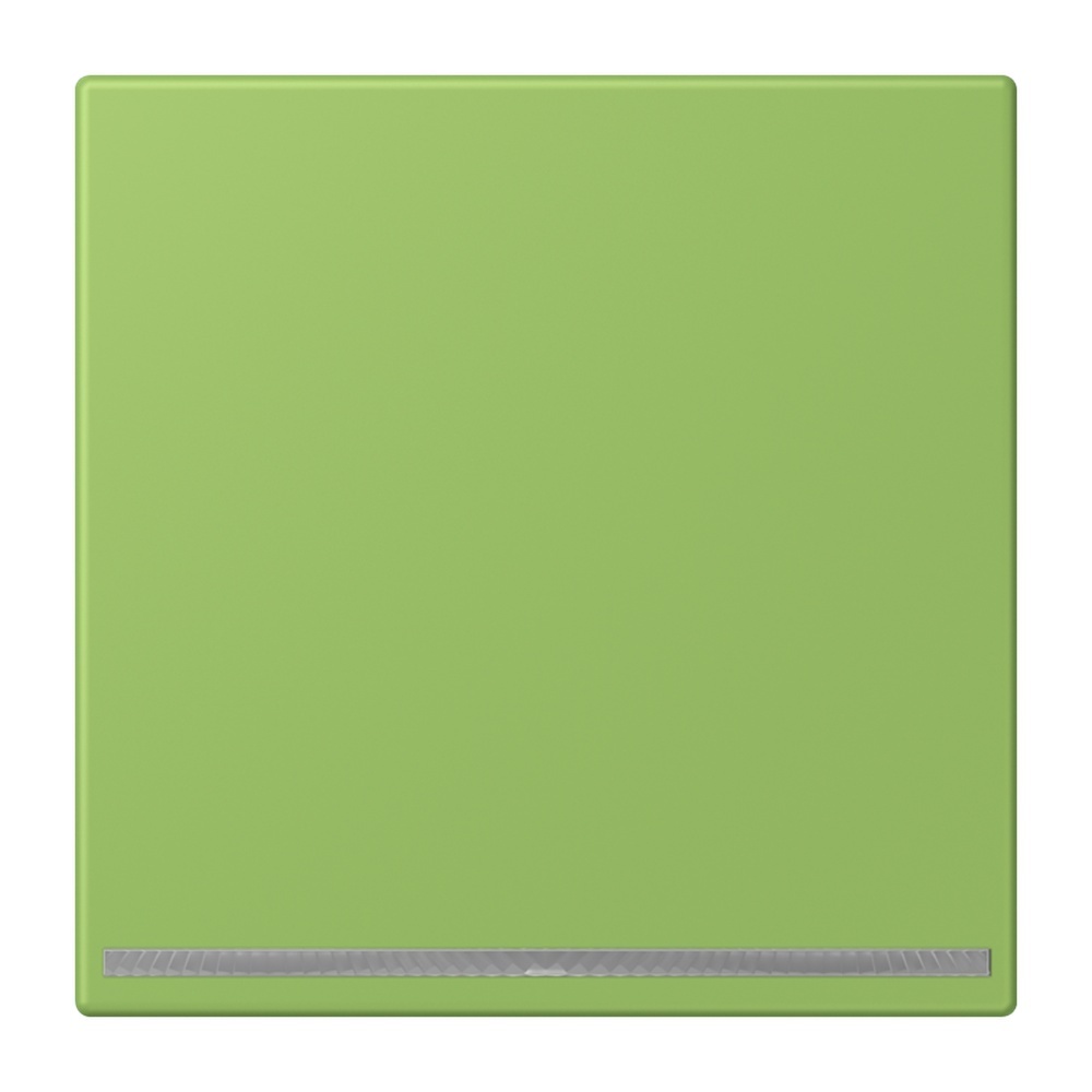 Jung LED Orientierungslicht LC1539-OOLNW220