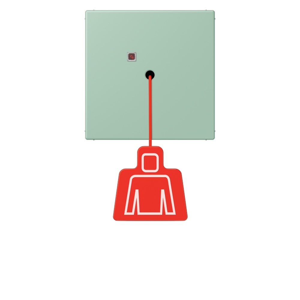Jung Notrufsystem Zugtaster NRSLC0834ZT217