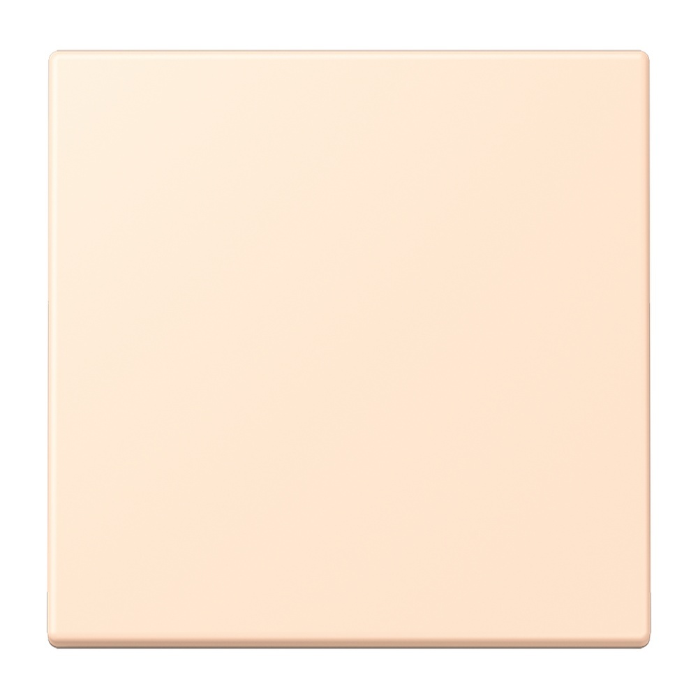 Jung Management Taster 1fach LC1700238