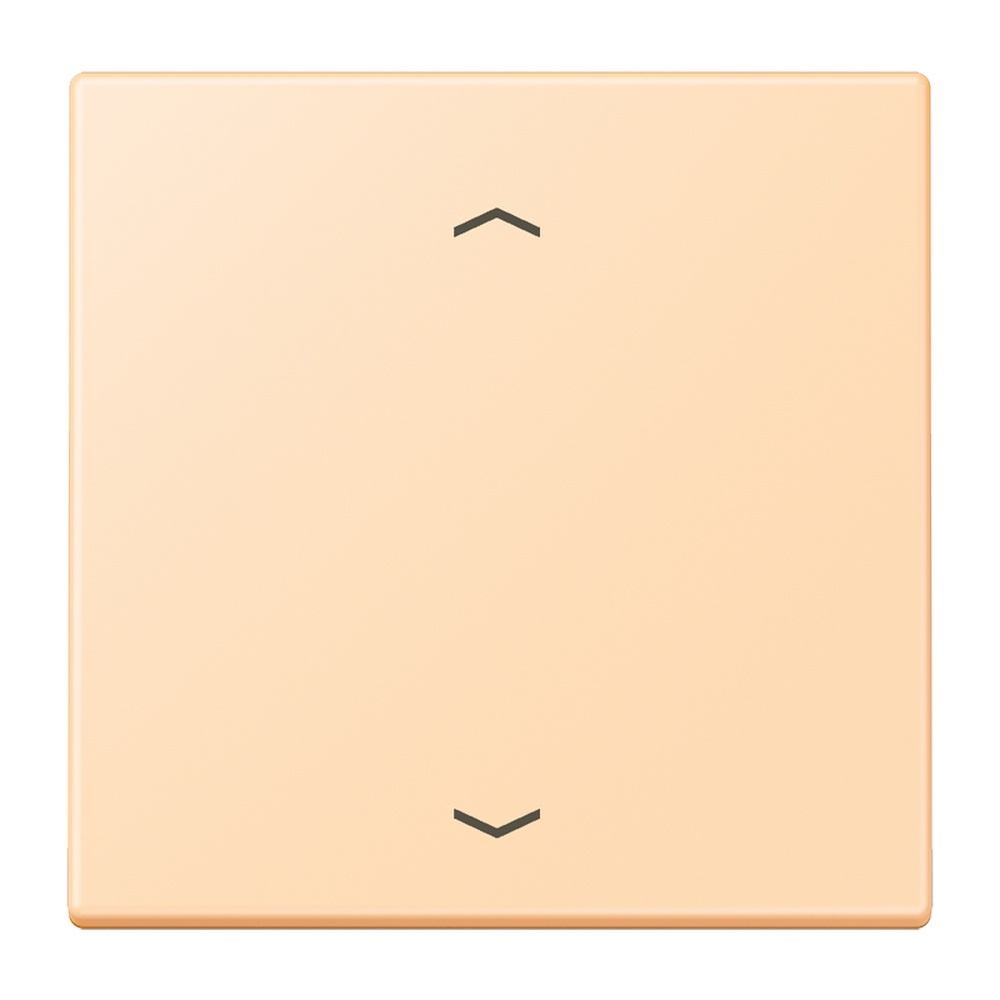 Jung Management Taster 1fach LC1700P223