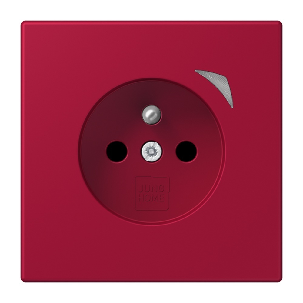 Jung Steckdose BTLC1521FS229