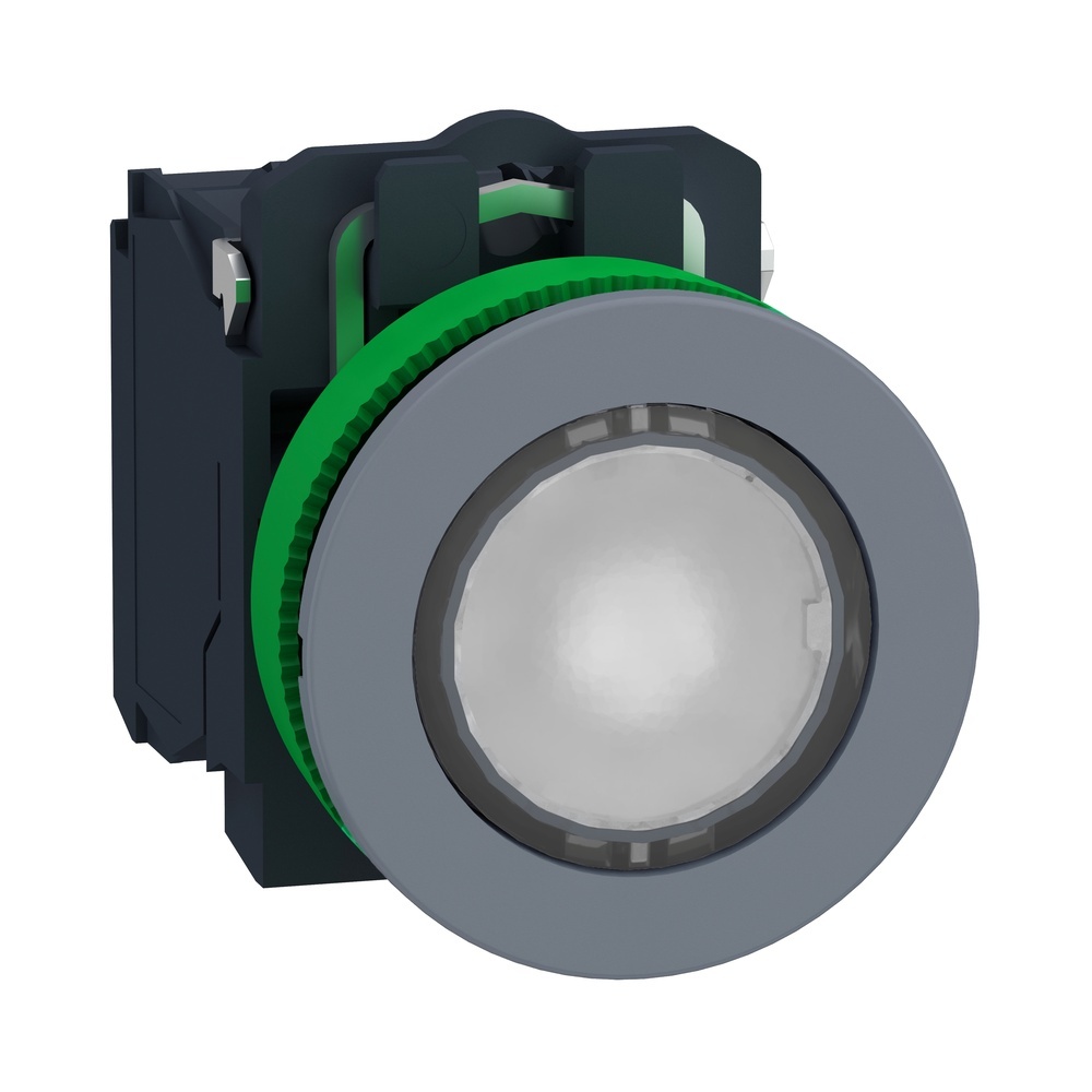Schneider Electric Leuchtdrucktaster XB5FWCUST04
