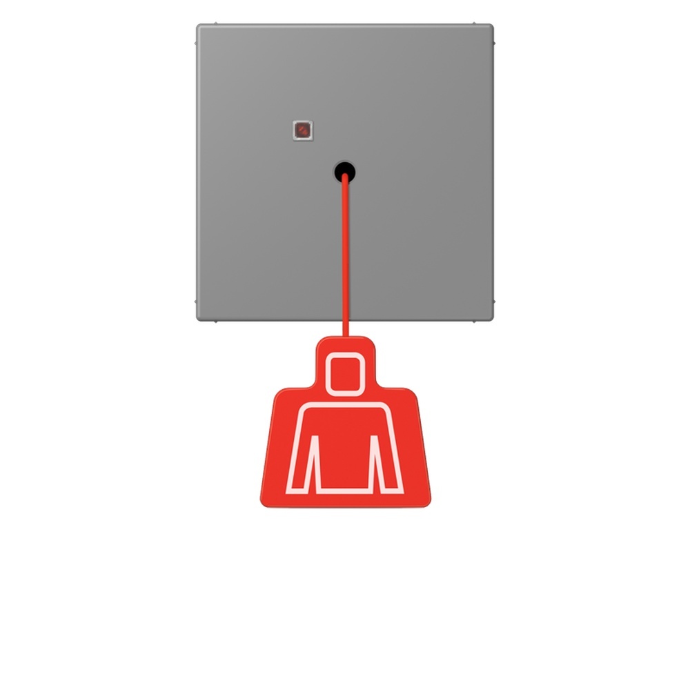 Jung Notrufsystem Zugtaster NRSLC0834ZT203