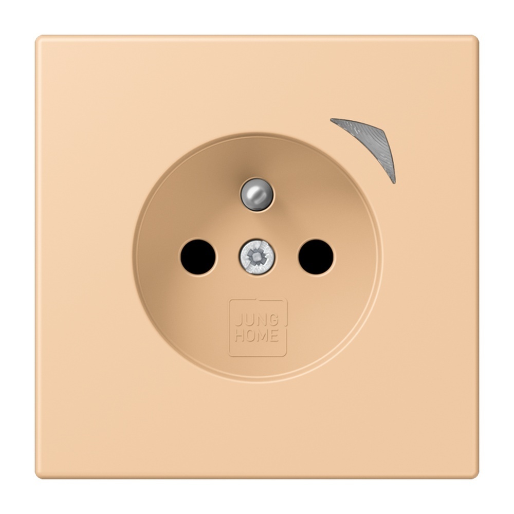 Jung Steckdose BTLC1521FS237