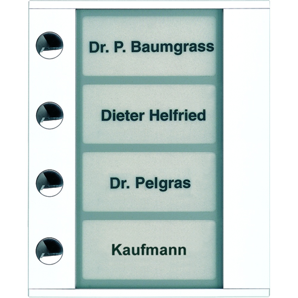 TCS Türstation Audio PDT04-WS/04