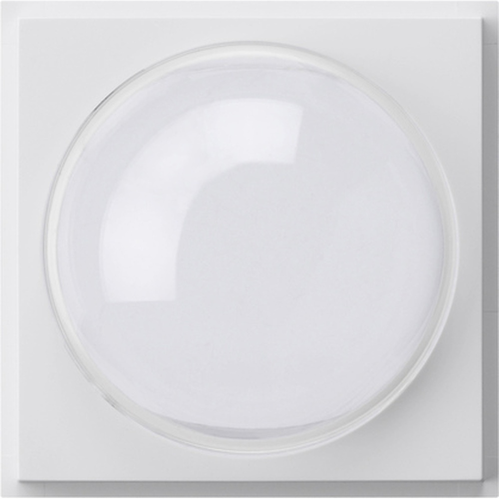 Gira Abdeckung Farbkamera 141566