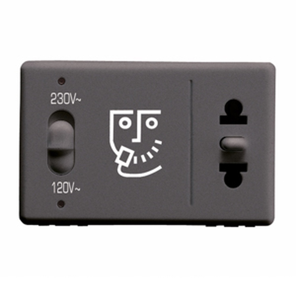 Gewiss Rasiersteckdose GW21841