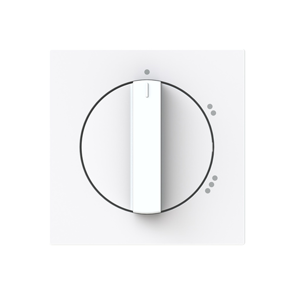 Busch-Jaeger Zentralscheibe 2542 DR/02-44G Typ 2CKA001710A4153