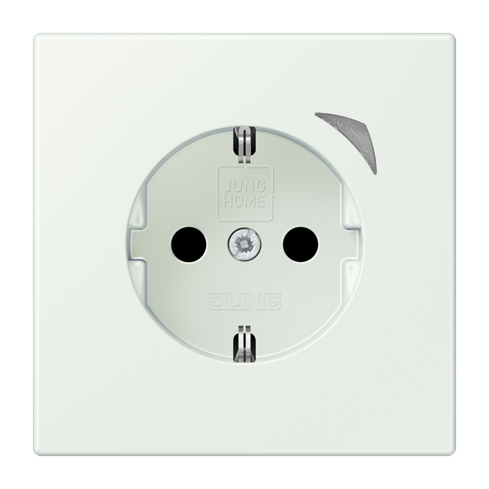 Jung JUNG HOME SCHUKO Steckdose BTLC1521SE210