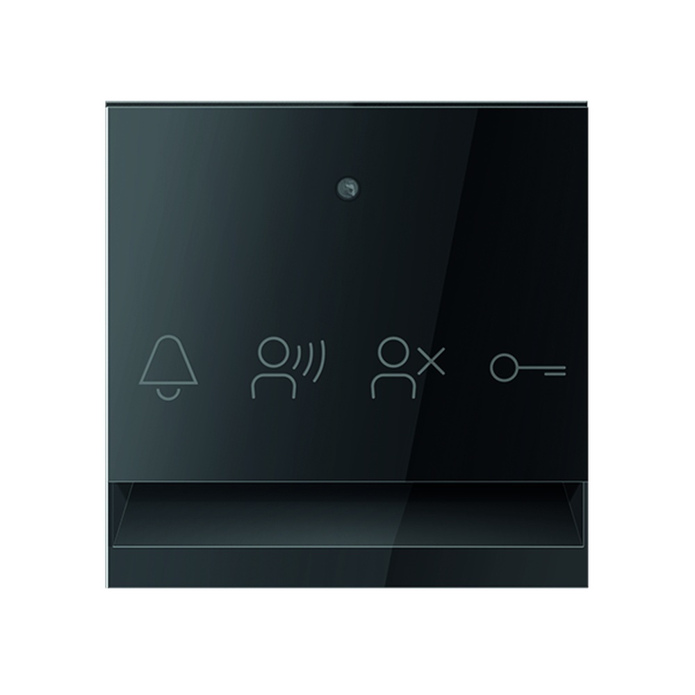 TCS Audio Außenstation E50606 TCS Audio Außenstation E50606