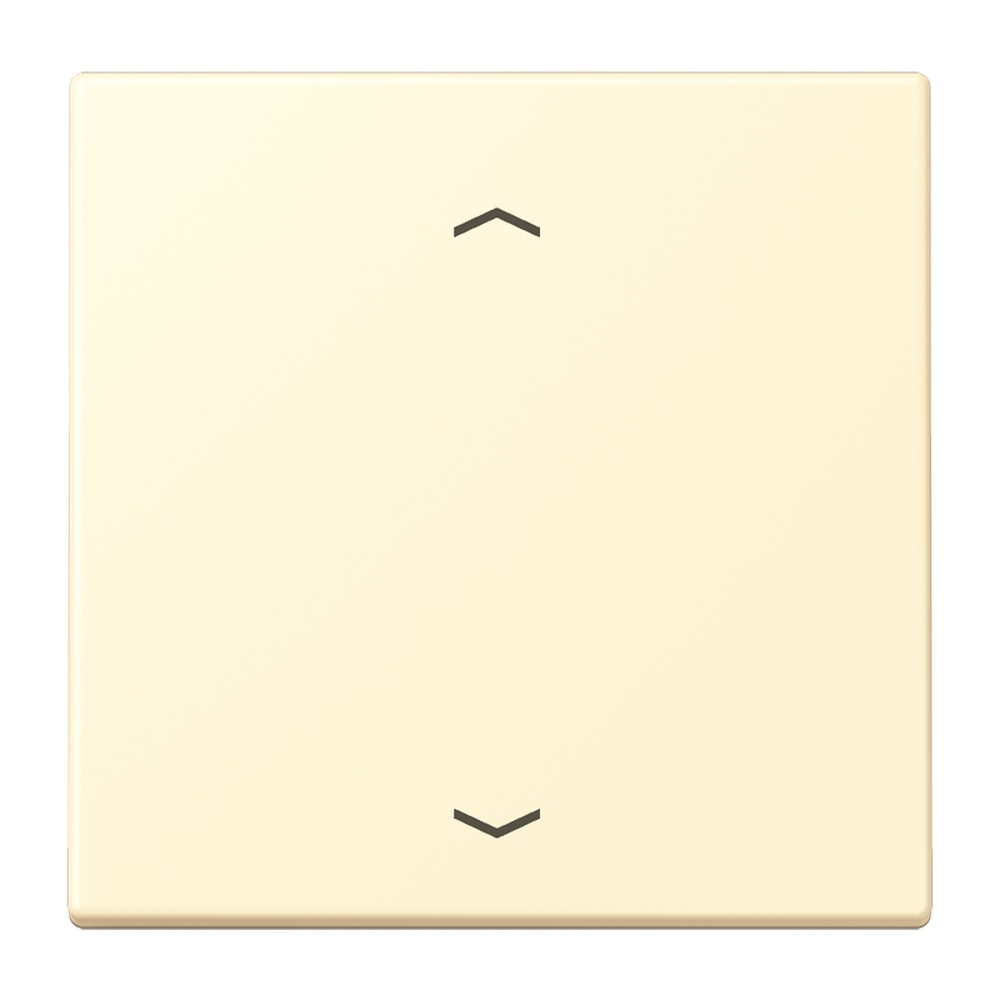 Jung Management Taster 1fach LC1700P201