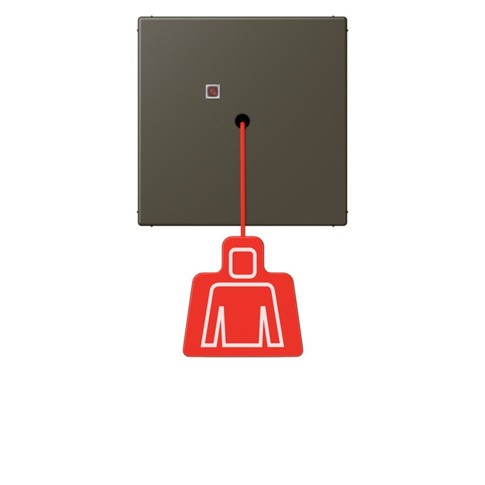 Jung Notrufsystem Zugtaster NRSLC0834ZT241