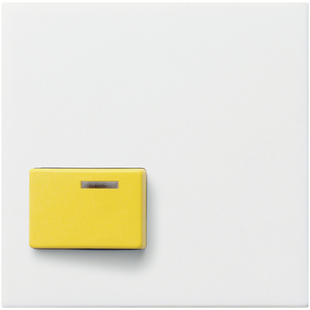 Gira Abdeckung Ackermann 024703