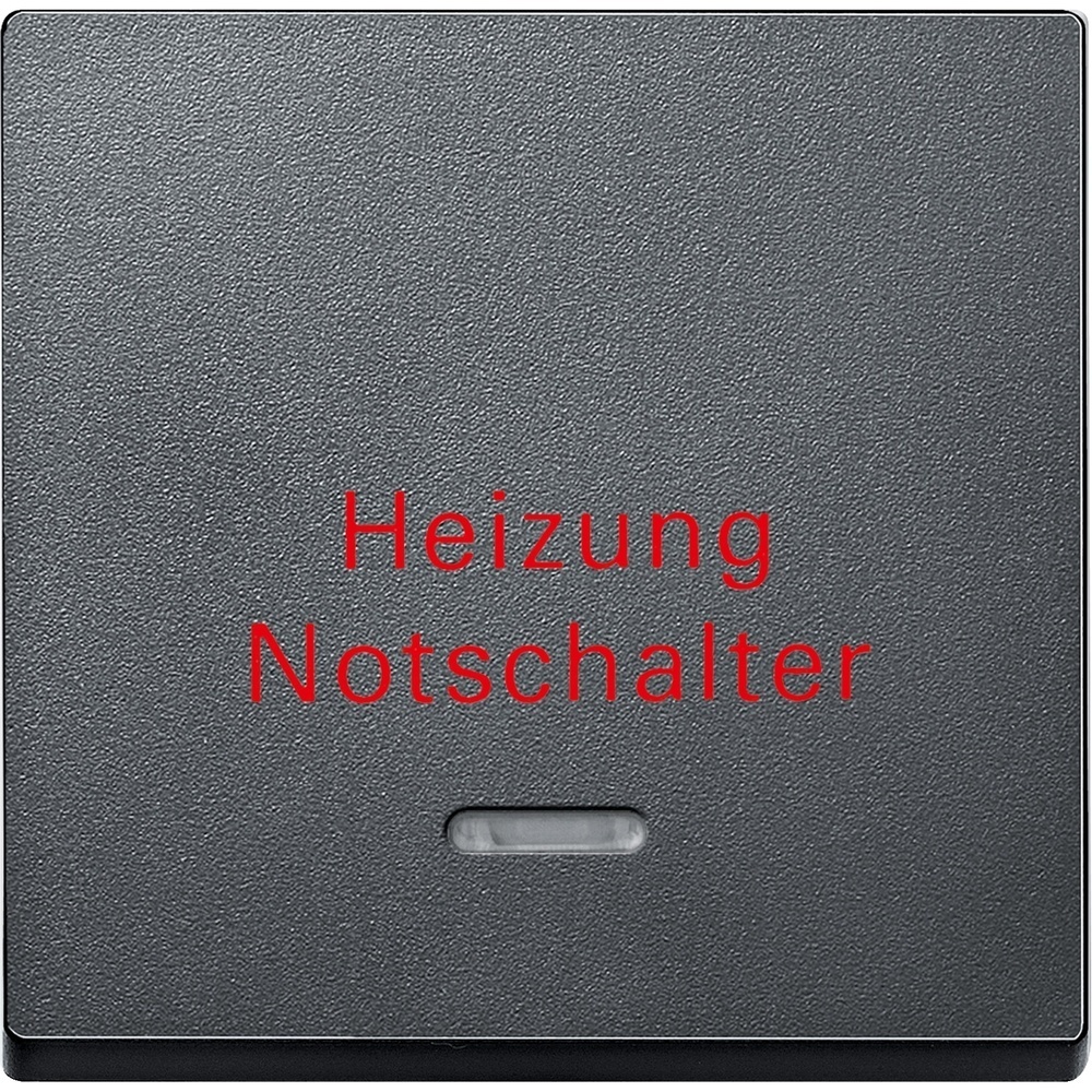 Merten Wippe 431814