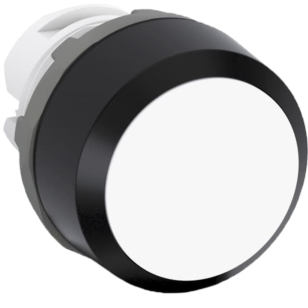 ABB Frontelement für Drucktaster 1SFA611101R1005 Typ MP2-10W