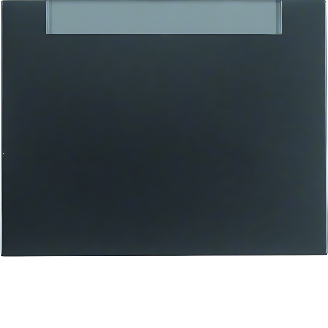 Berker Wippe 14267006 Berker Wippe 14267006