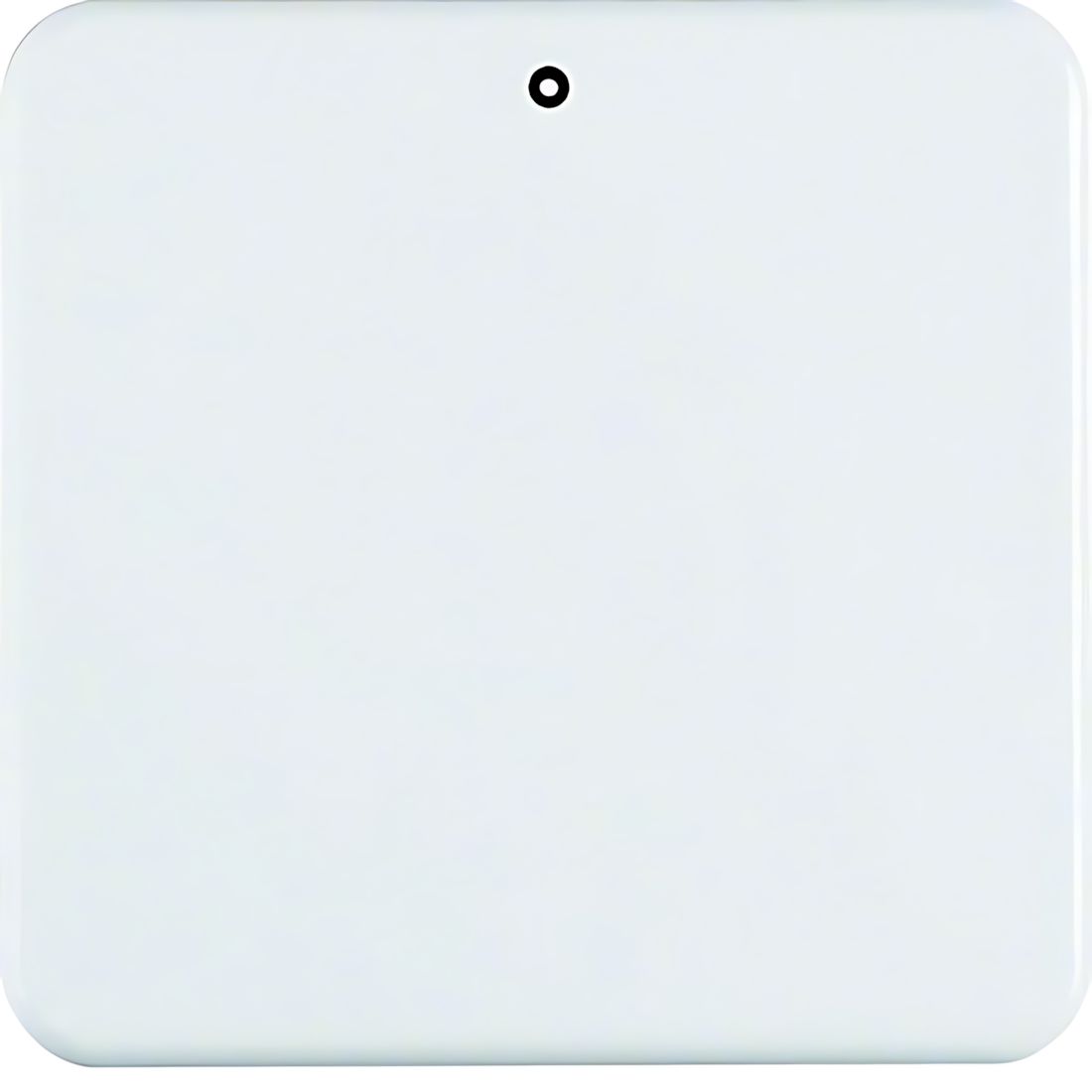 Berker Wippe 155109