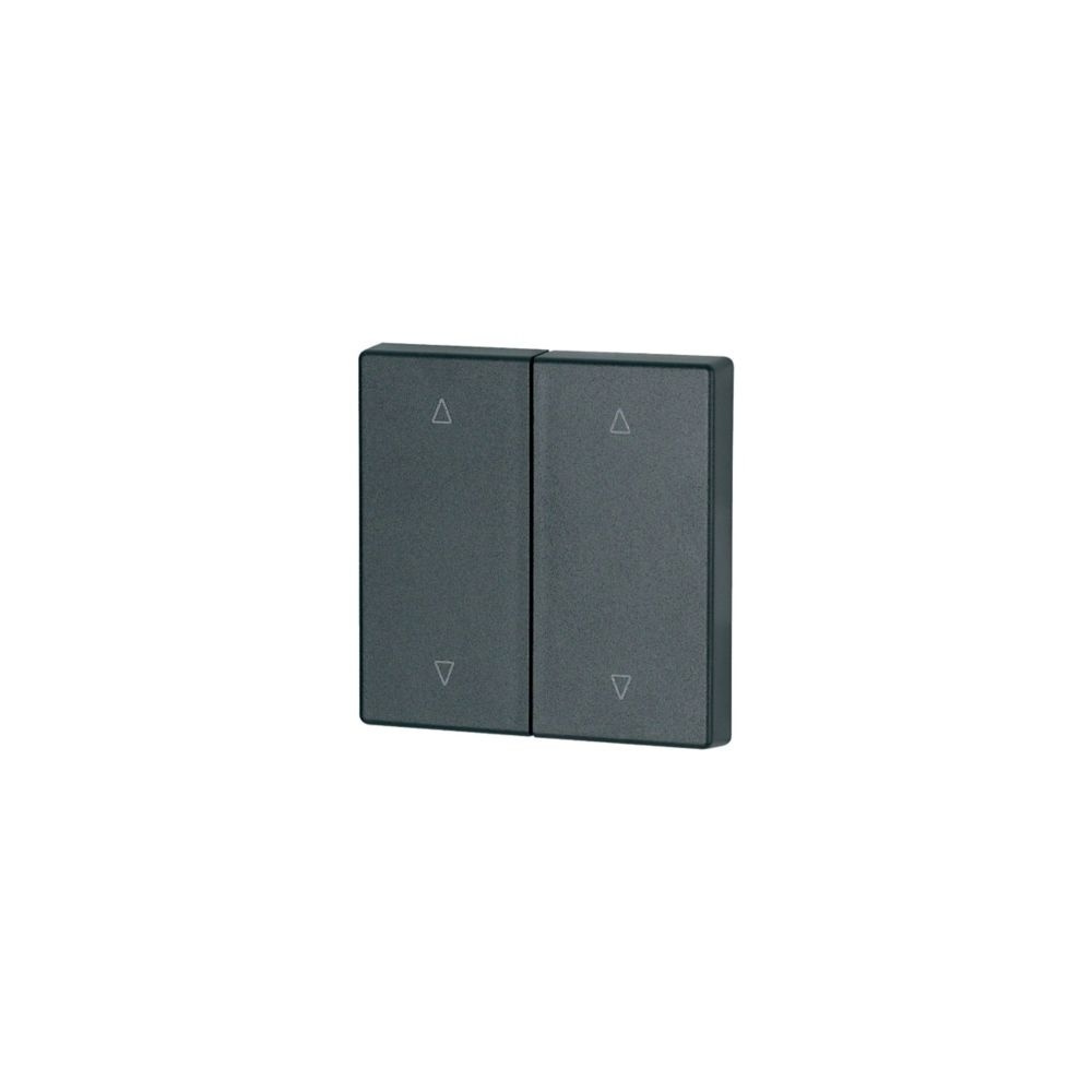 Eaton Wippe 147620 Typ CWIZ-02/24