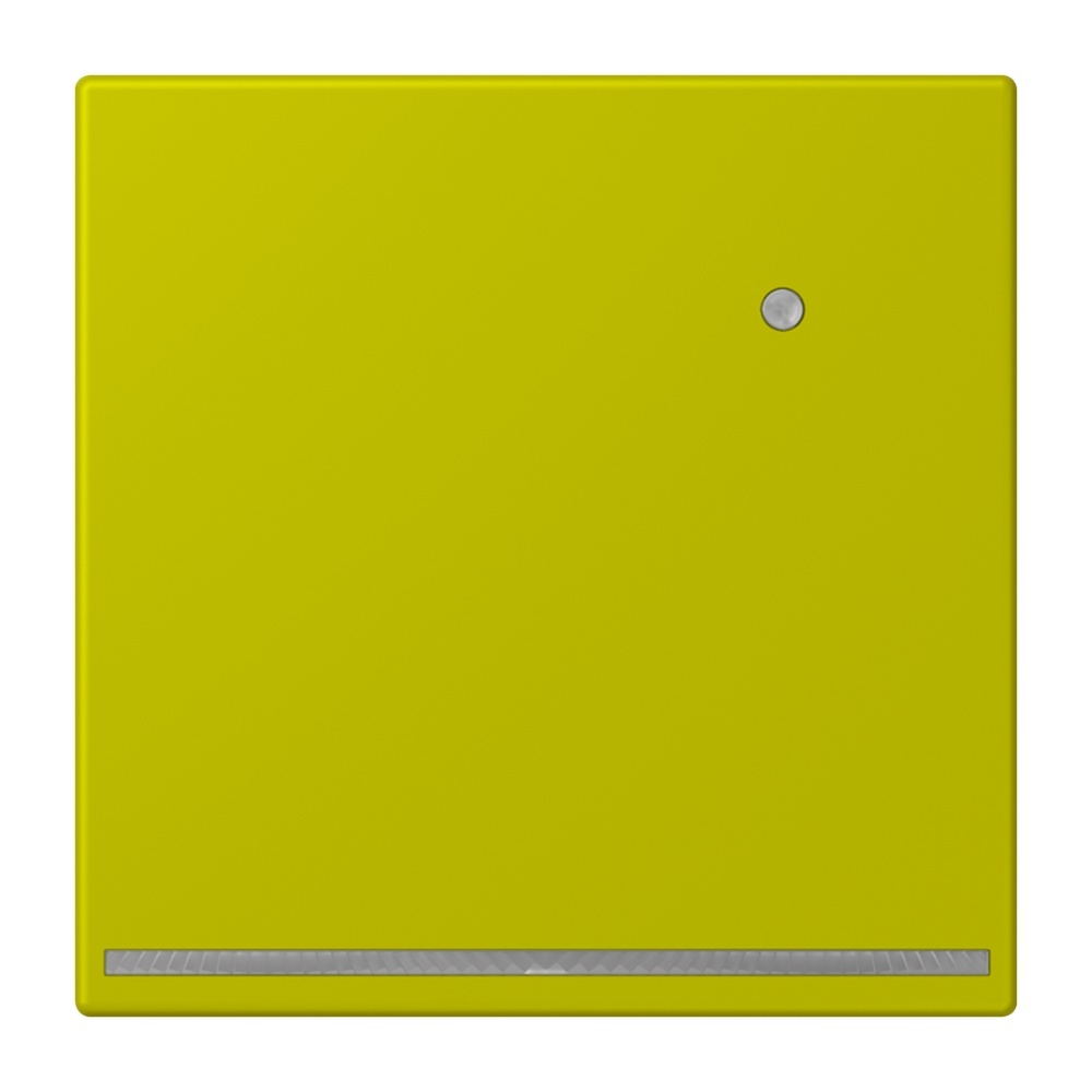 Jung LED Orientierungslicht LC1539-OLNW249