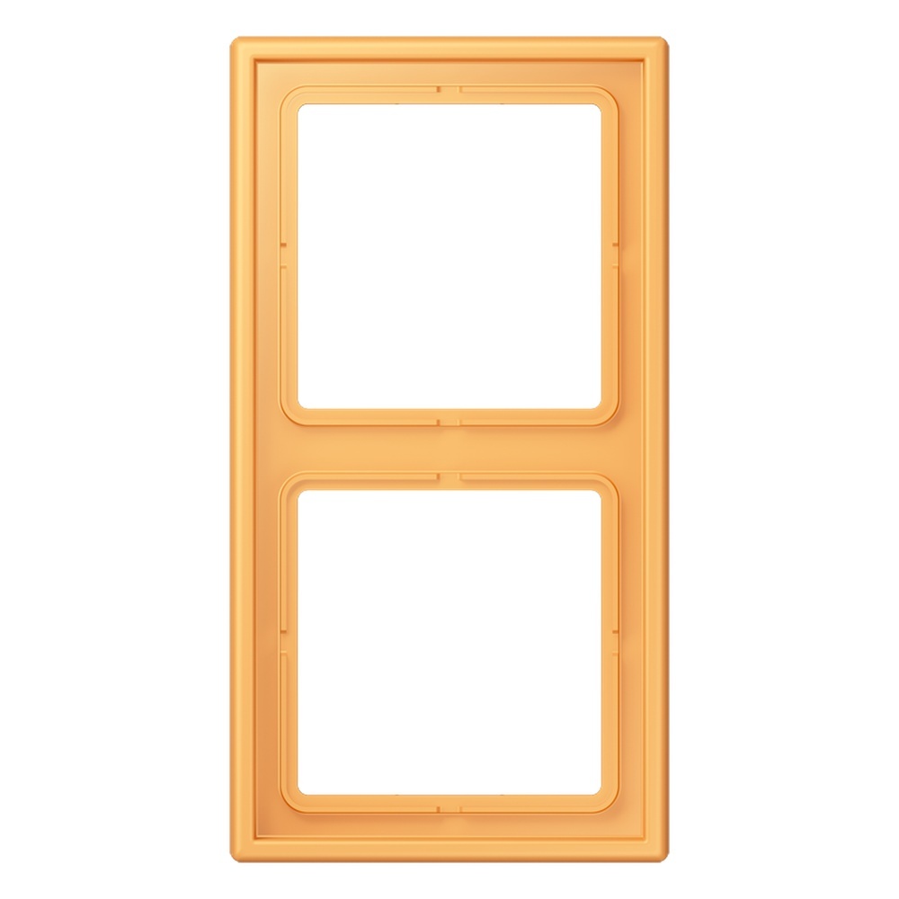 Jung Rahmen LC982254