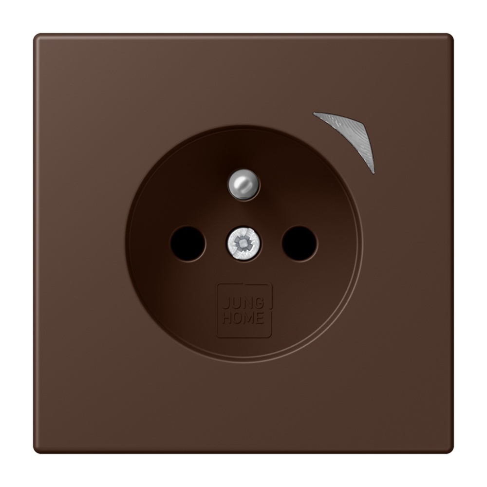 Jung Steckdose BTLC1521FS239