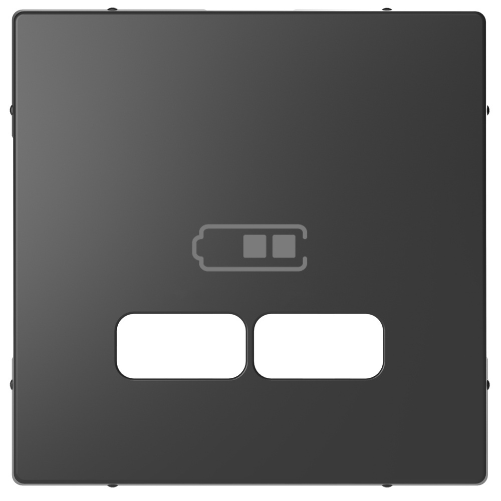 Merten Zentralplatte für USB Ladestation Einsatz MEG4367-6034
