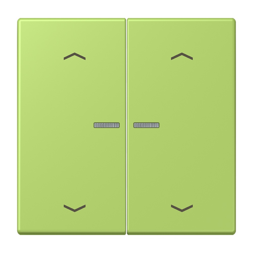 Jung JUNG HOME Taster BTLC17102P221