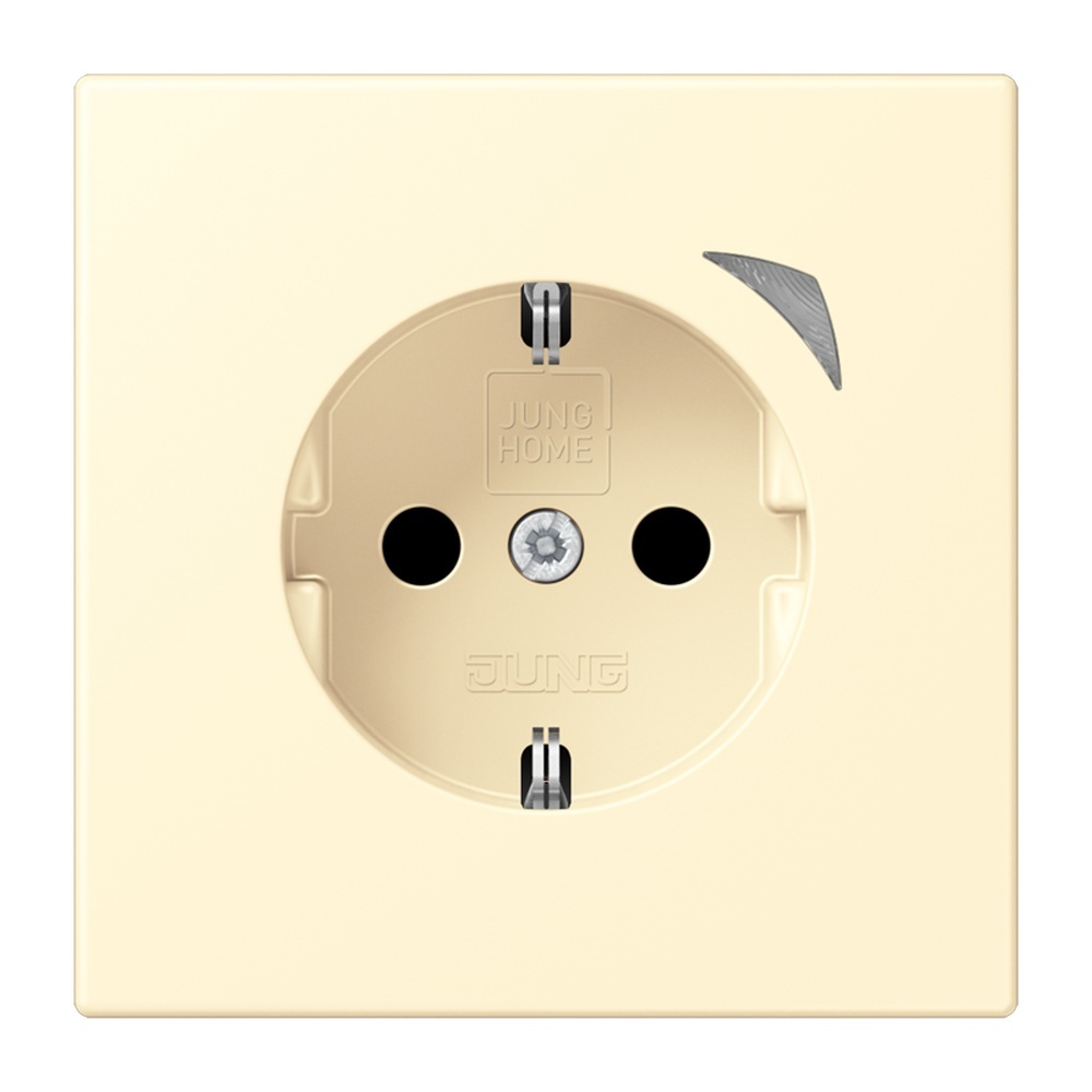 Jung JUNG HOME SCHUKO Steckdose BTLC1521SE201