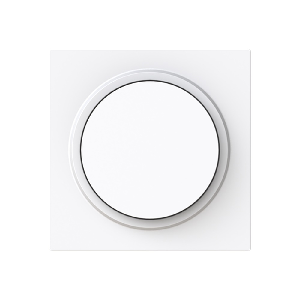 Busch-Jaeger Zentralscheibe 6540-44G-102 Typ 2CKA006599A3052