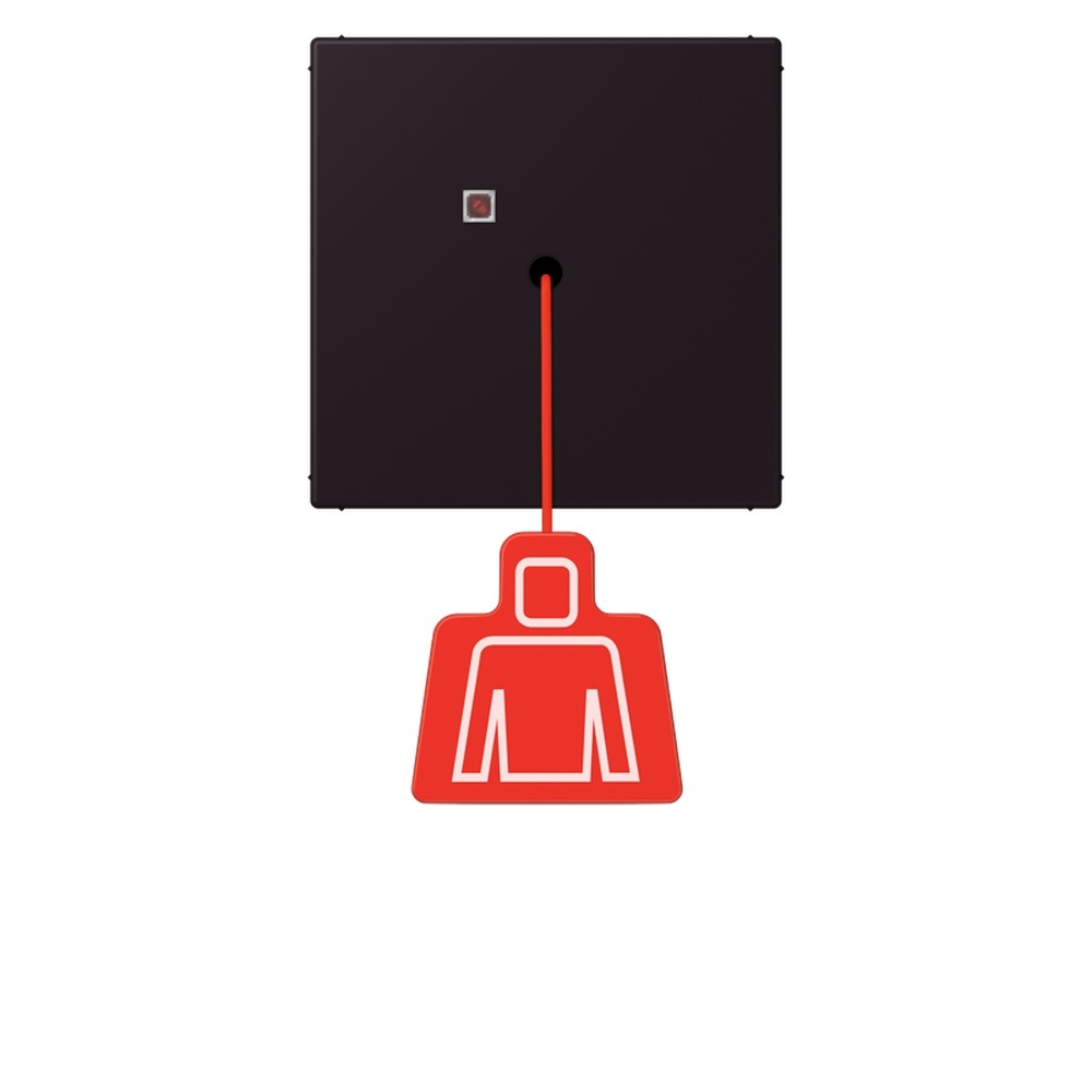 Jung Notrufsystem Zugtaster NRSLC0834ZT248