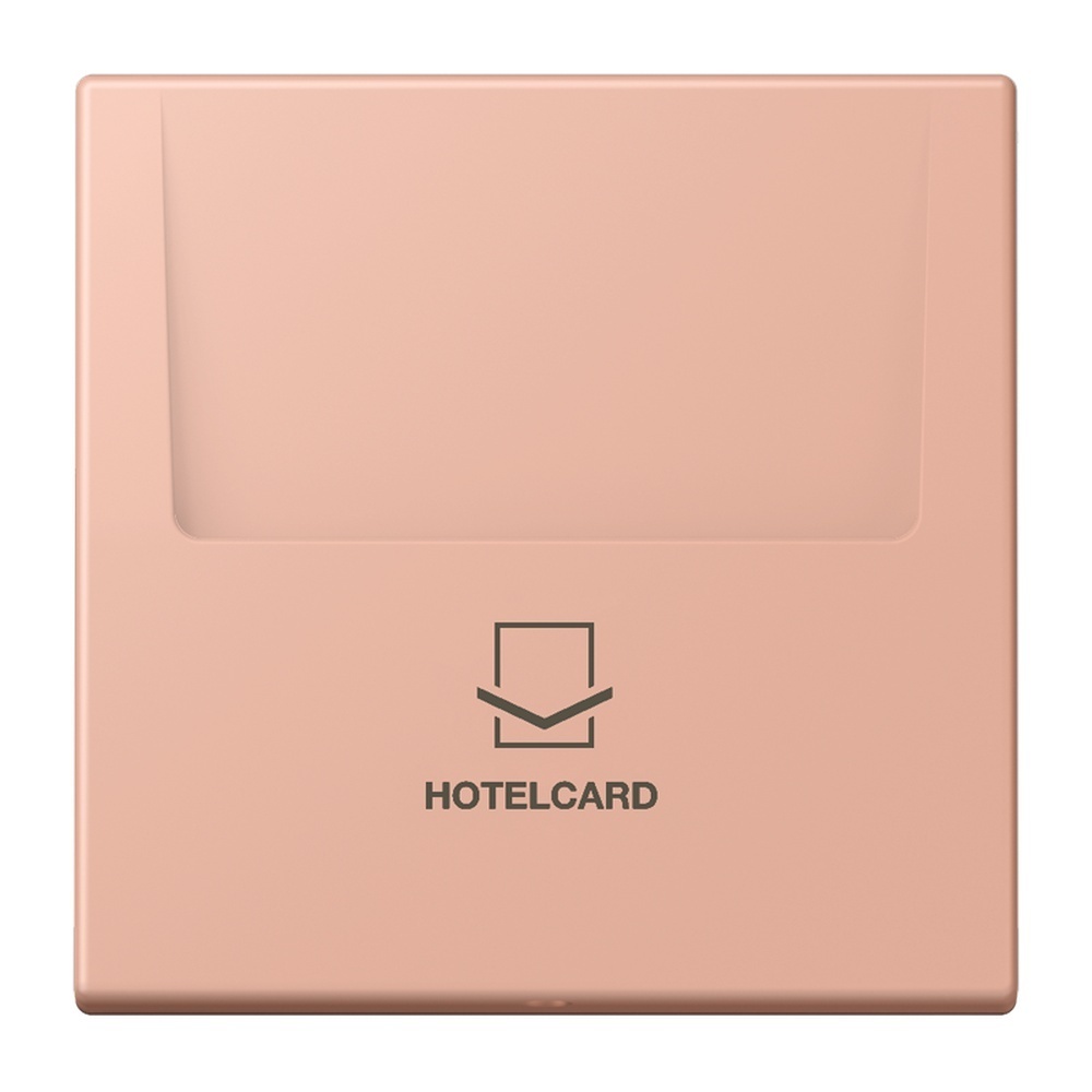 Jung Hotelcard Schalter LC590CARD231