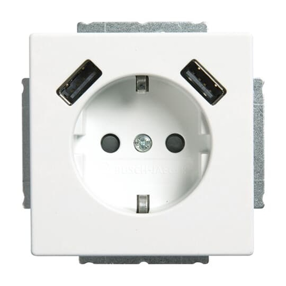 Busch-Jaeger Schuko USB Steckdose 20 EUCB2USB-884 Nr. 2CKA002011A6277