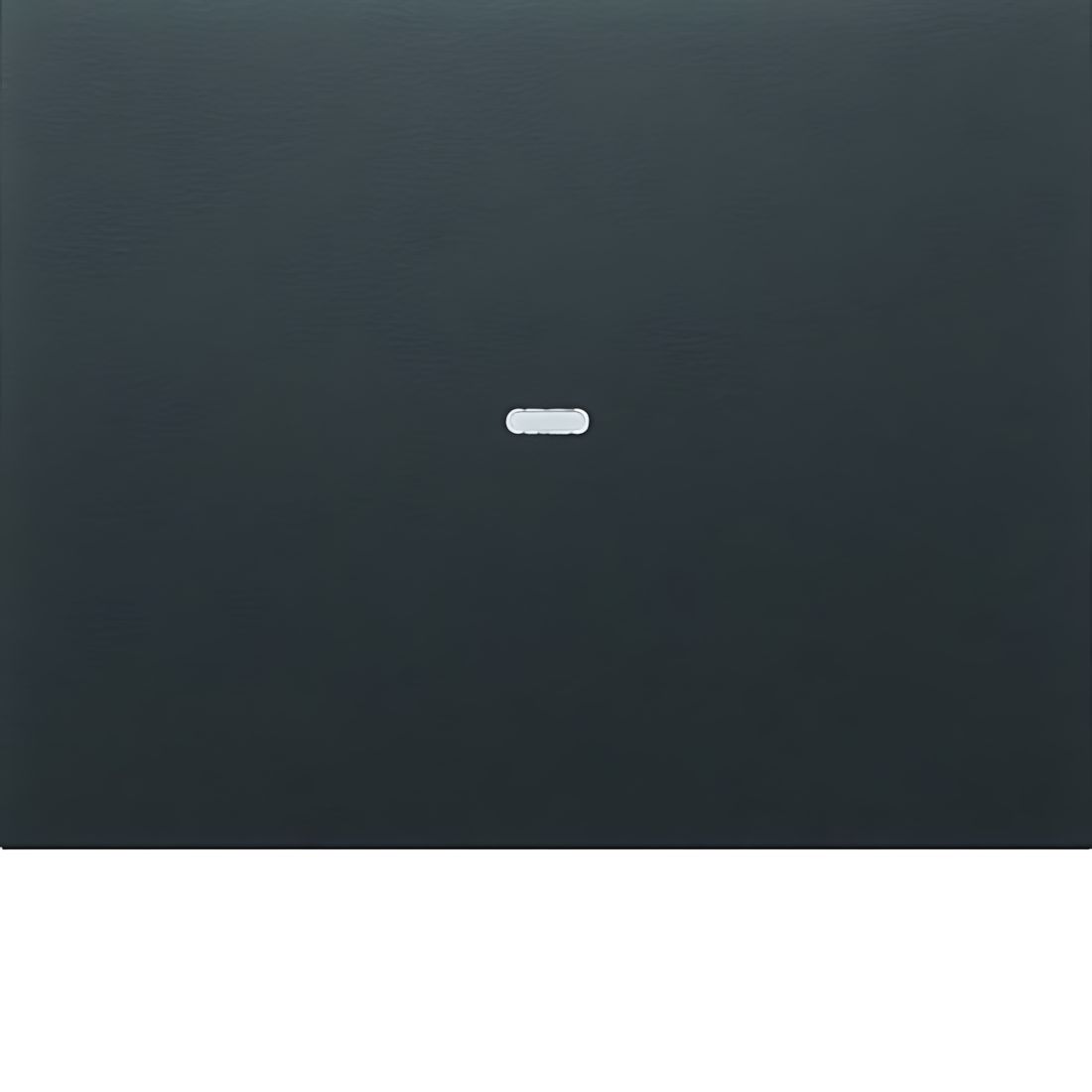 Berker Abdeckung 80960275 Berker Abdeckung 80960275