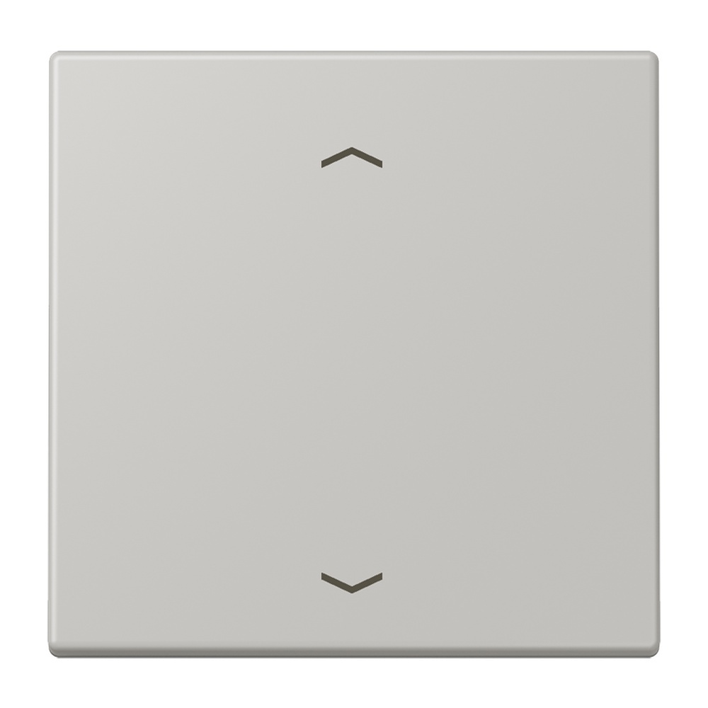 Jung Management Taster 1fach LC1700P205