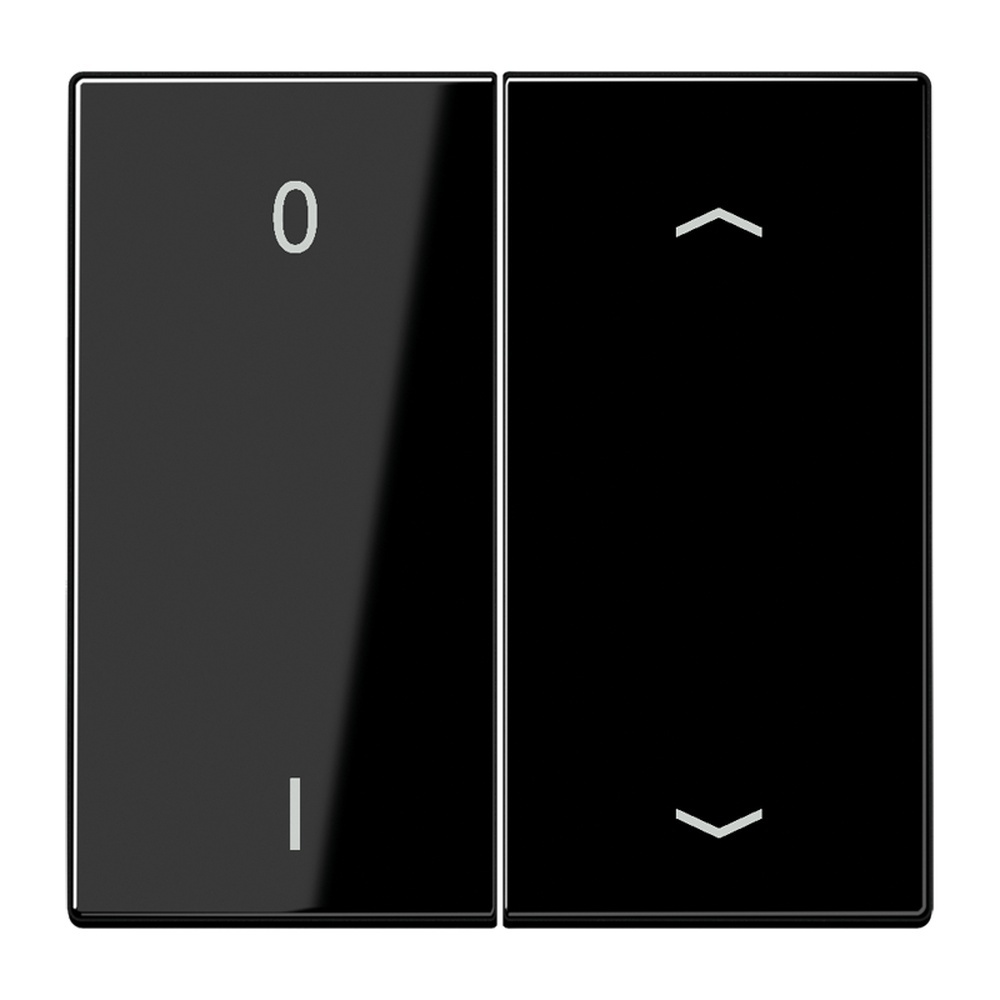 Jung EnOcean Funk Wandsender ENO LS 995 P01 SW