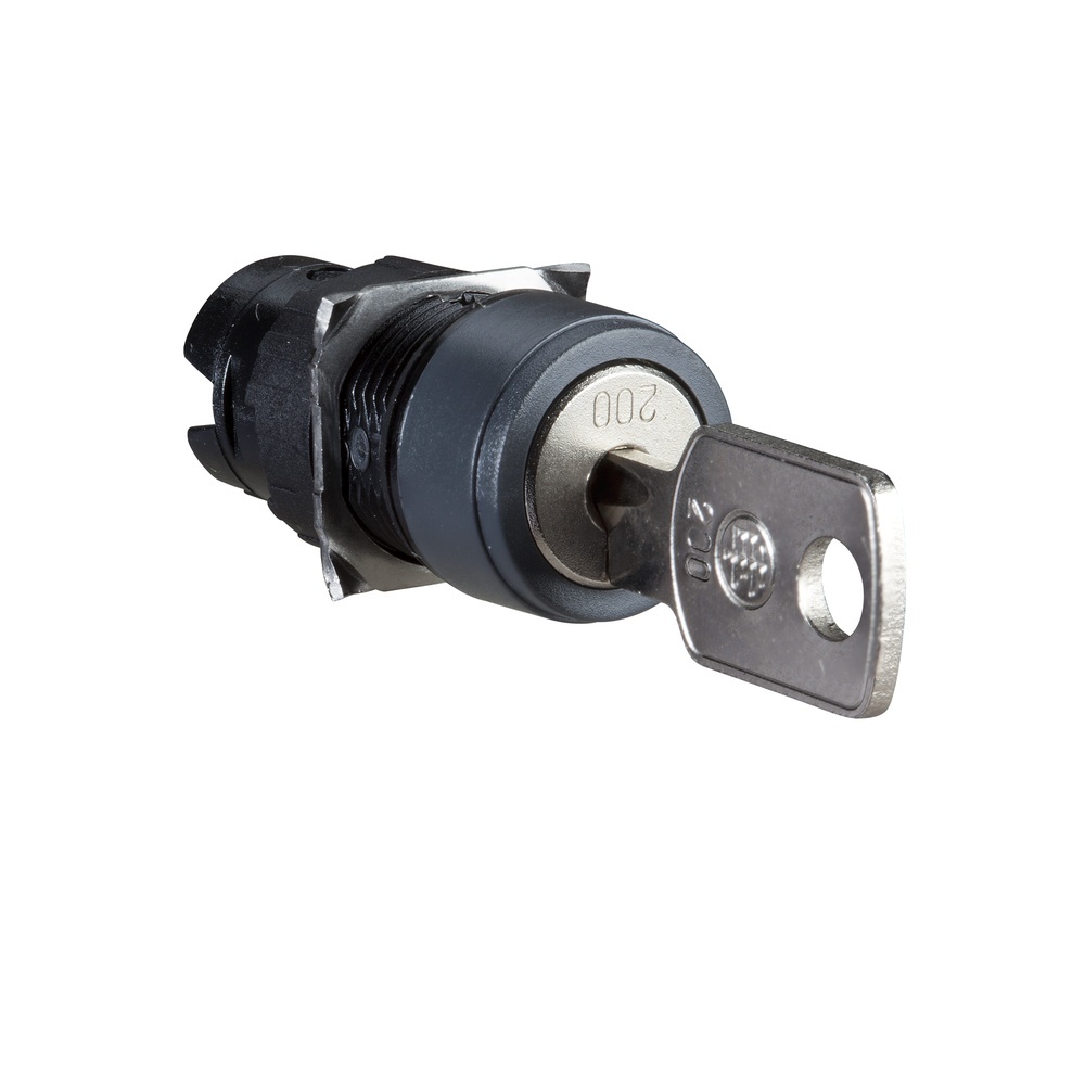 Schneider Electric Frontelement ZB6AGS
