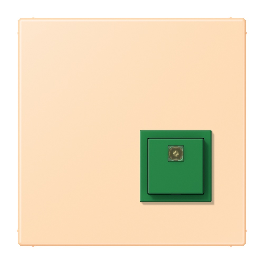 Jung Notrufsystem Abstelltaster NRSLC0834AT223