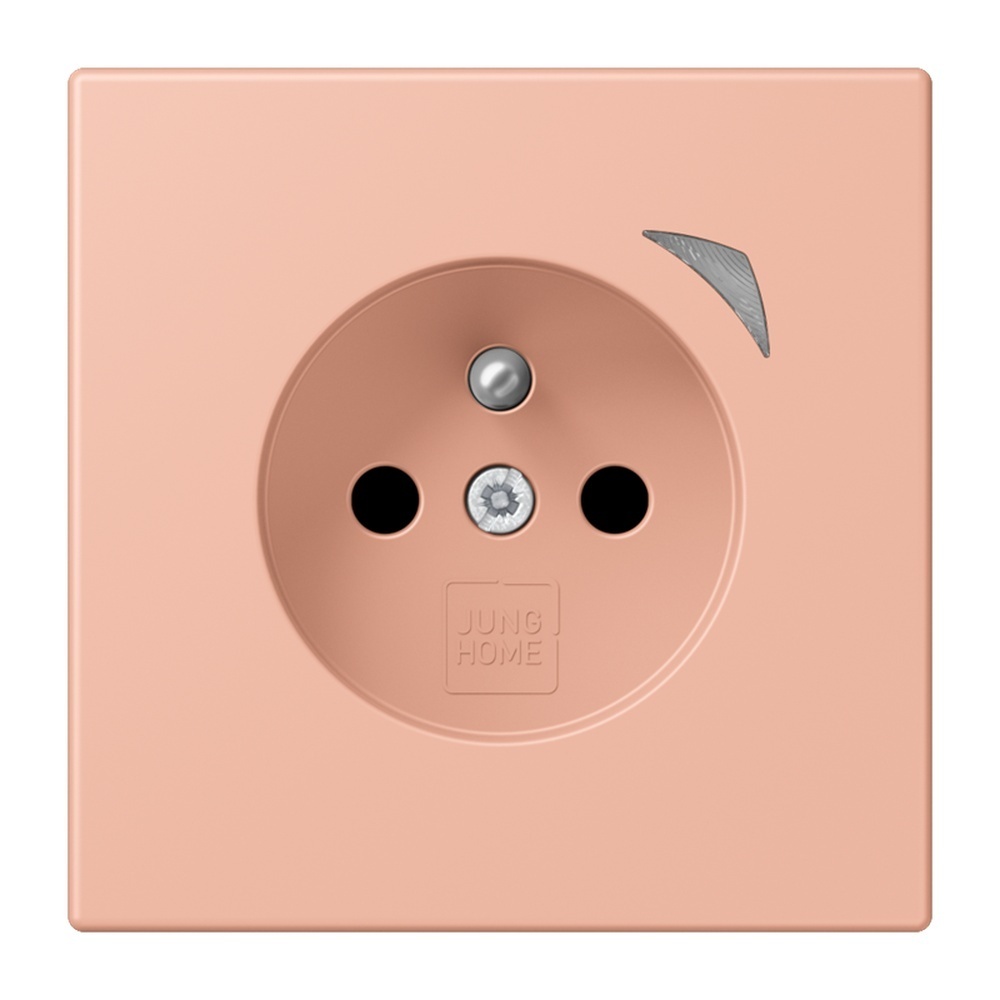 Jung Steckdose BTLC1521FS231