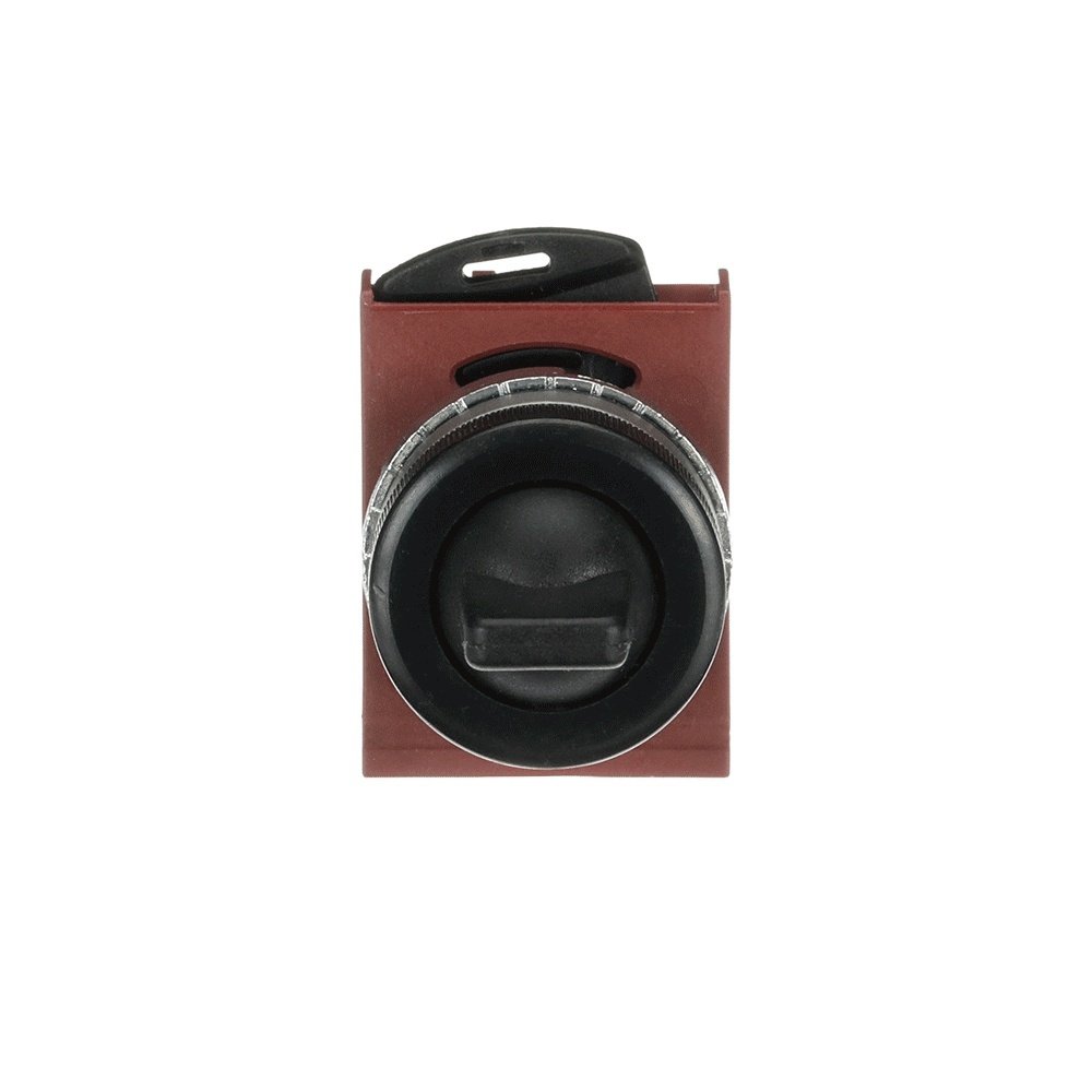 ABB Frontelement für Wahlschalter 1SFA184696R9006 Typ P9MCB