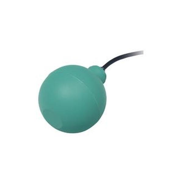 Pepperl+Fuchs Schwimmschalter 262202 Typ LFL2-BK-U-PUR5-EMS
