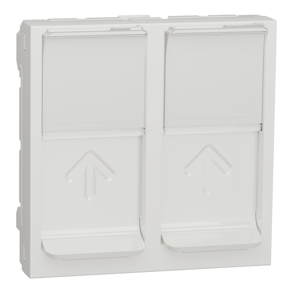 Schneider Electric Zentralplatte NU942018