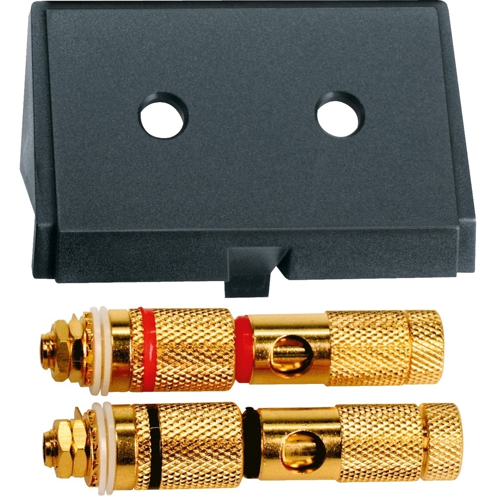 Merten Einschub High End Lautsprecher 464387