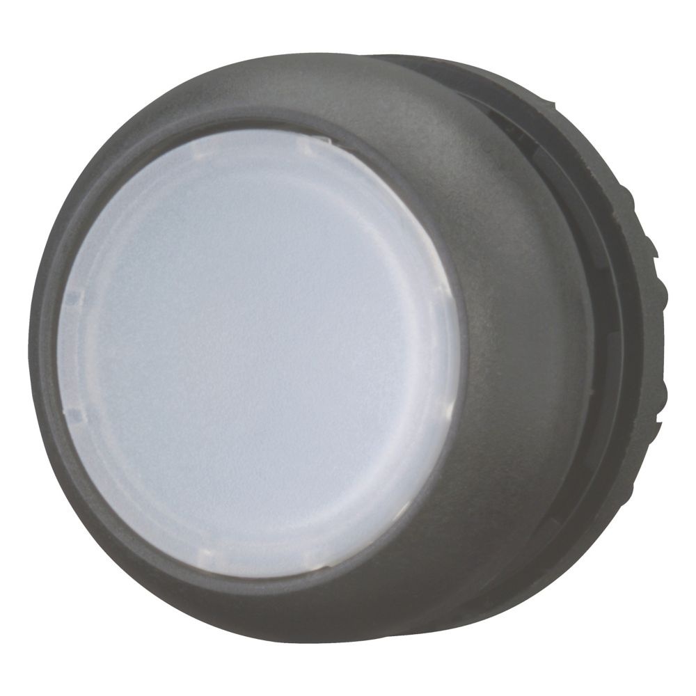 Eaton Leuchtdrucktaste 216924 Typ M22S-DL-W