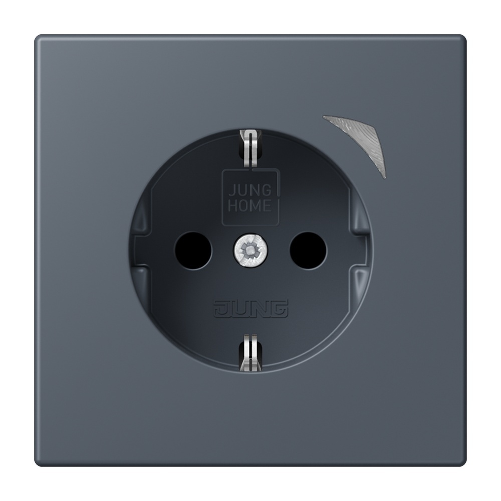 Jung JUNG HOME SCHUKO Steckdose BTLC1521SE262