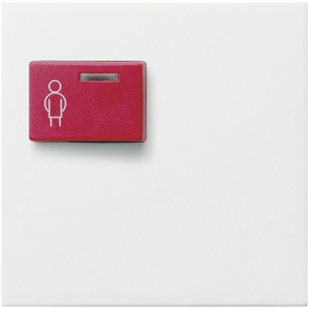 Gira Abdeckung Ackermann 022603