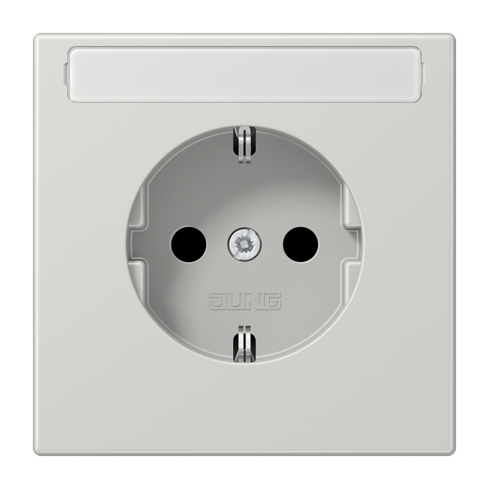 Jung Schutzkontakt Steckdose LS 1520 KINA LG