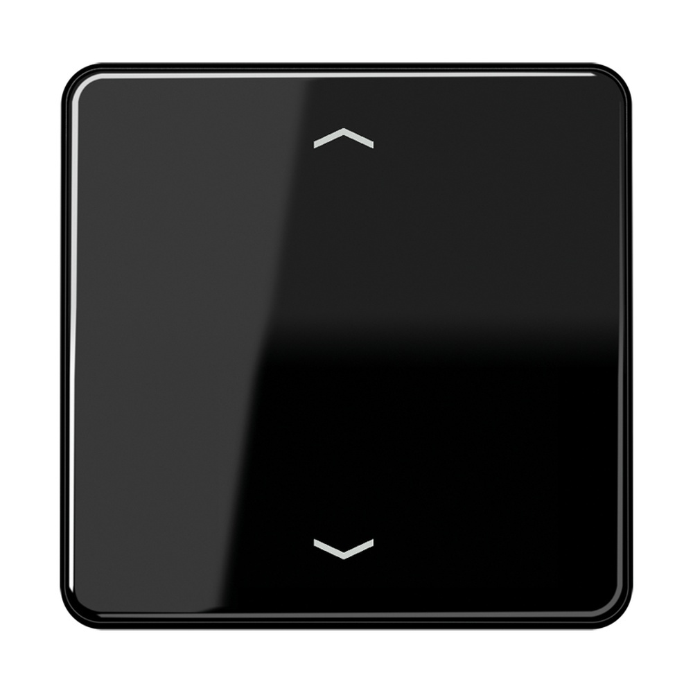 Jung Steuertaste CD1700PSW