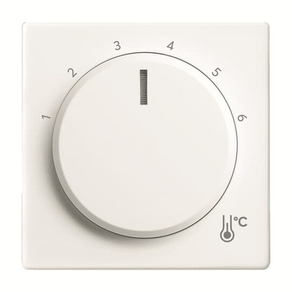 Busch-Jaeger Zentralscheibe Temperatur 1794 R-884 Nr. 2CKA001710A4204