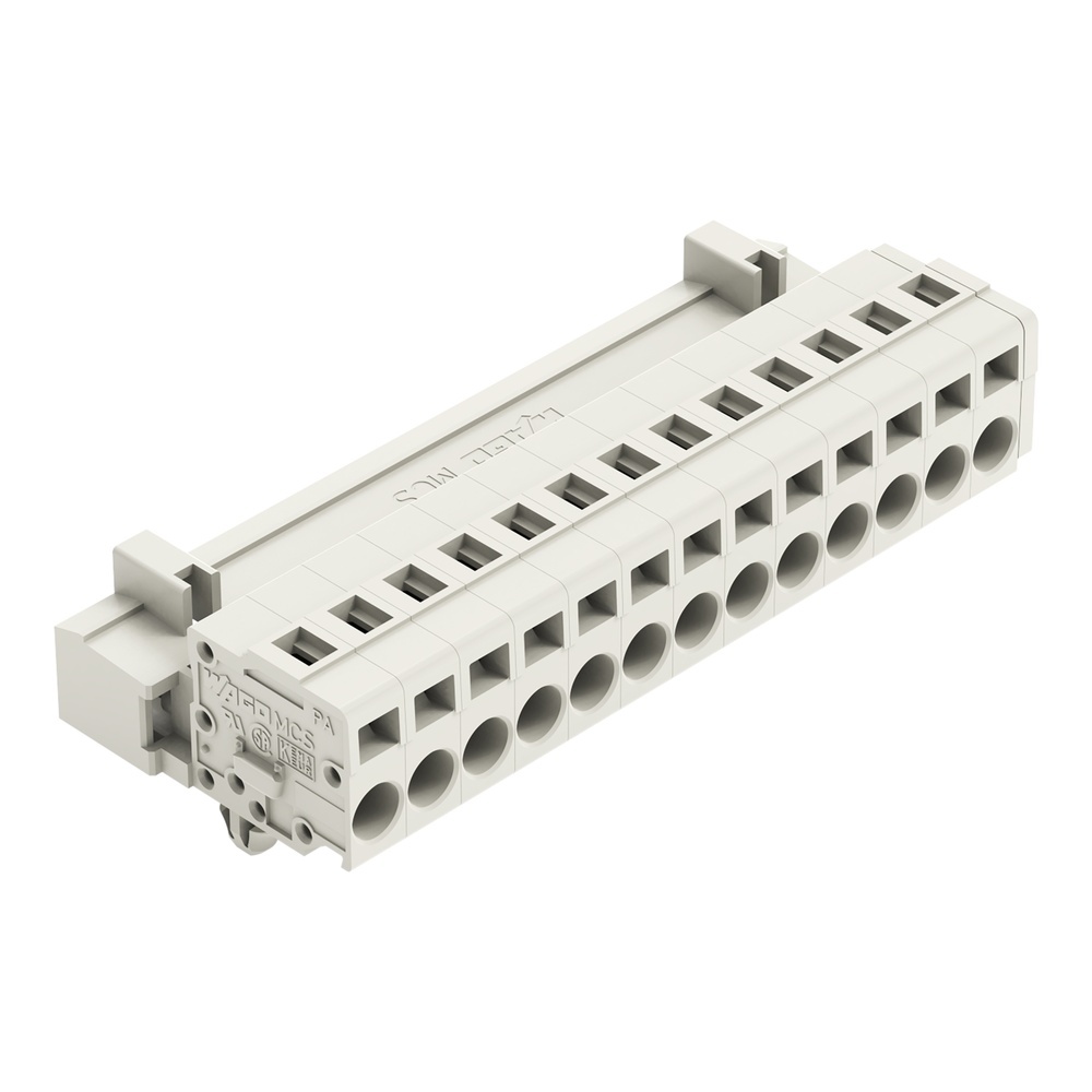 Wago Stiftleiste 721-613/018-000