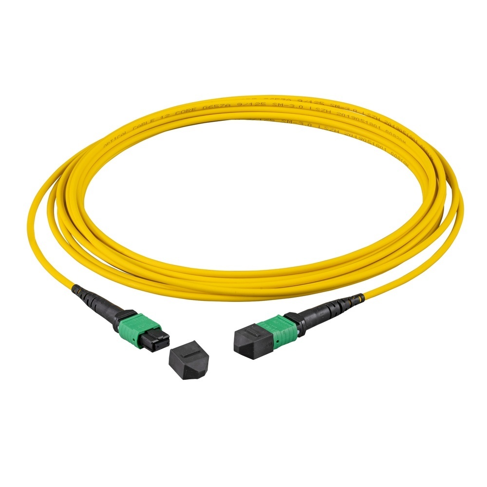 EFB Fasermatrix Patchkabel MTPF12MTPFOM3-15-A